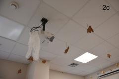 5_Easy-Resize.com_