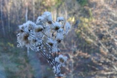 6_Easy-Resize.com_