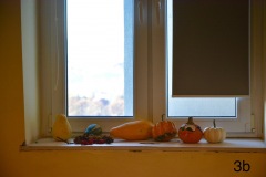 DSC_9079_Easy-Resize.com_