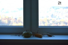 DSC_9098_Easy-Resize.com_