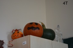 DSC_9116_Easy-Resize.com_