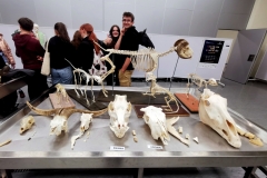 MNN-2022-14_Easy-Resize.com_