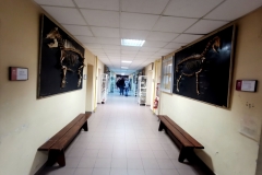 MNN-2022-22_Easy-Resize.com_