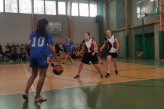 img_20231115_112601_1