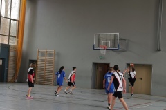 oznorCOBR