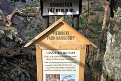 Pieniny-2025-81