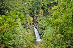 e4a4b6cf-255e-42f5-b97b-8ddcb258f995