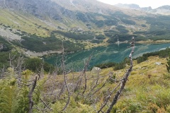 IMG_20230912_153004149