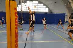 img-20240306-wa0006