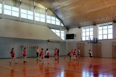 oznorCOBR