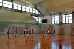oznorCOBR